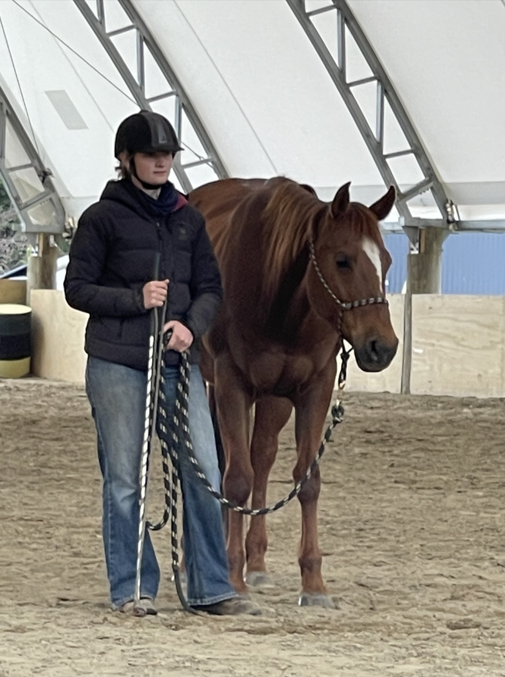Nia Isabella with a chestnut horse in a covered riding arena